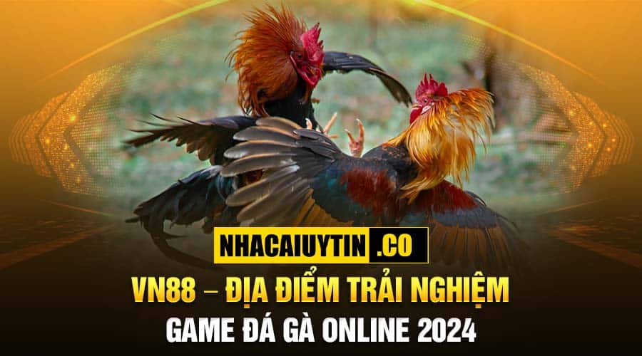 VN88 - Địa điểm trải nghiệm game đá gà online 2024